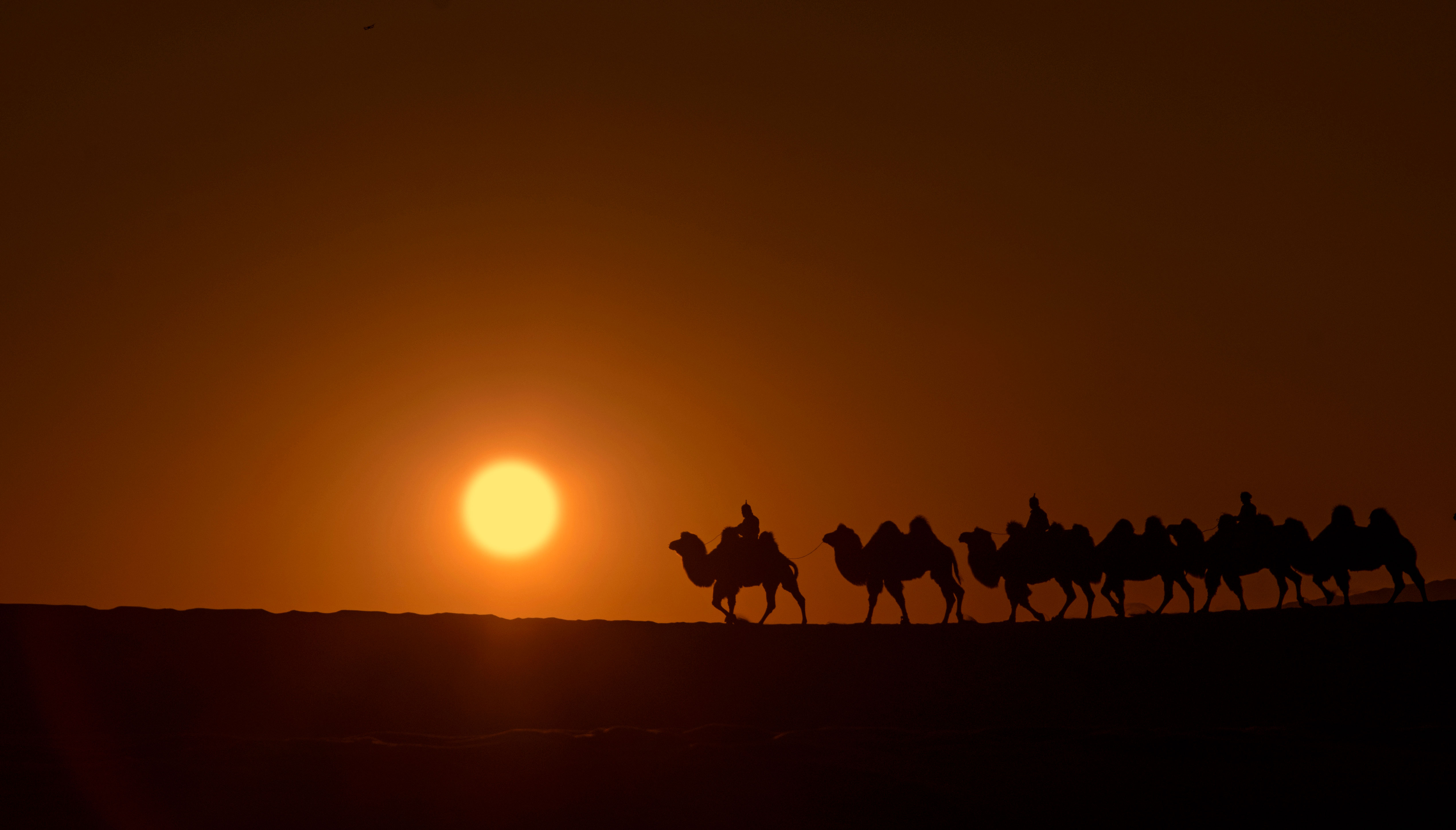 Camel-Caravan-2-1.jpg